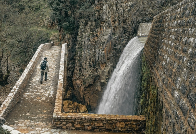 Τοξοτή γέφυρα Παλαιοκαρυάς