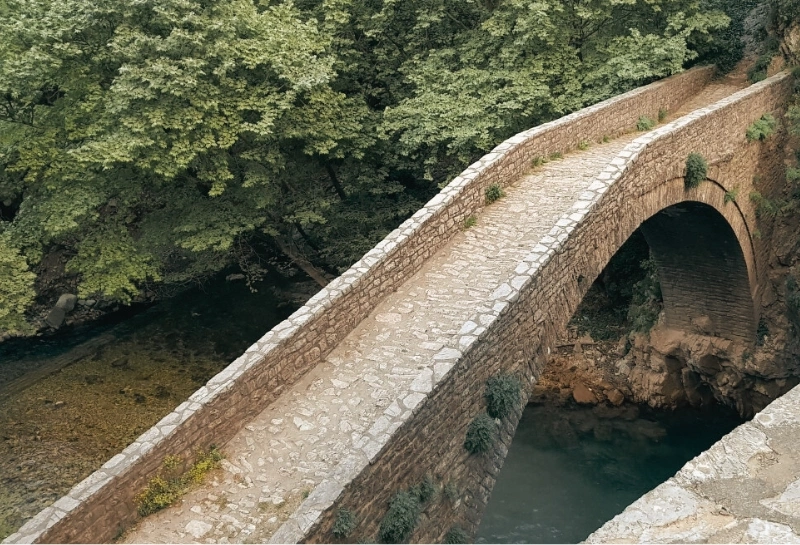 Τοξοτή γέφυρα Παλαιοκαρυάς