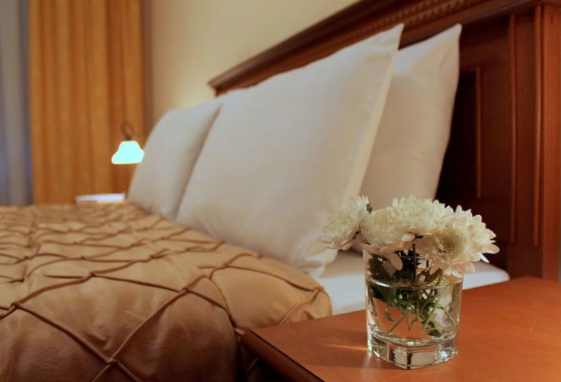 hotel_famissi_kalabaka_5
