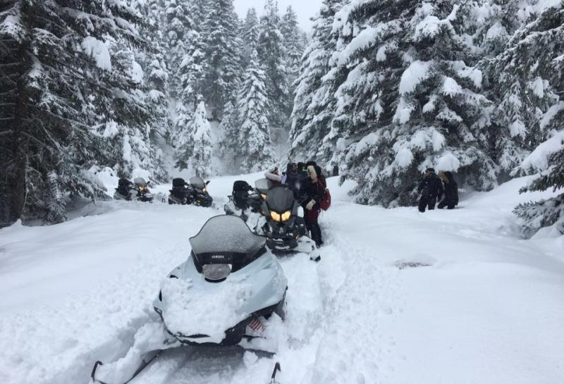 Kerketio Extreme Sports Snowmobile