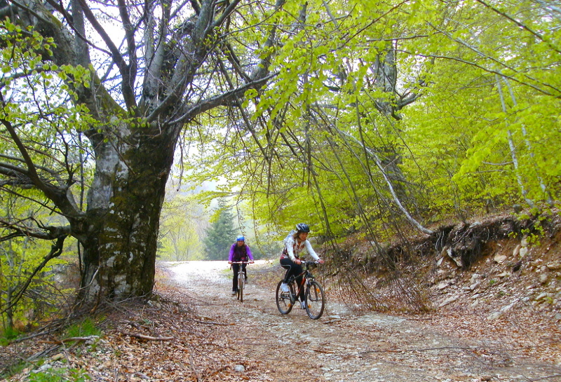 kerketio extreme sports podilasia