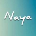 naya_rooftop_trikala_logo