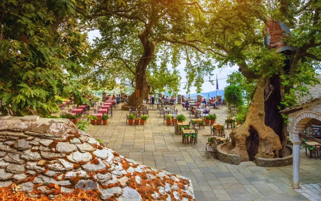 Τσαγκαράδα vs Μακρινίτσα