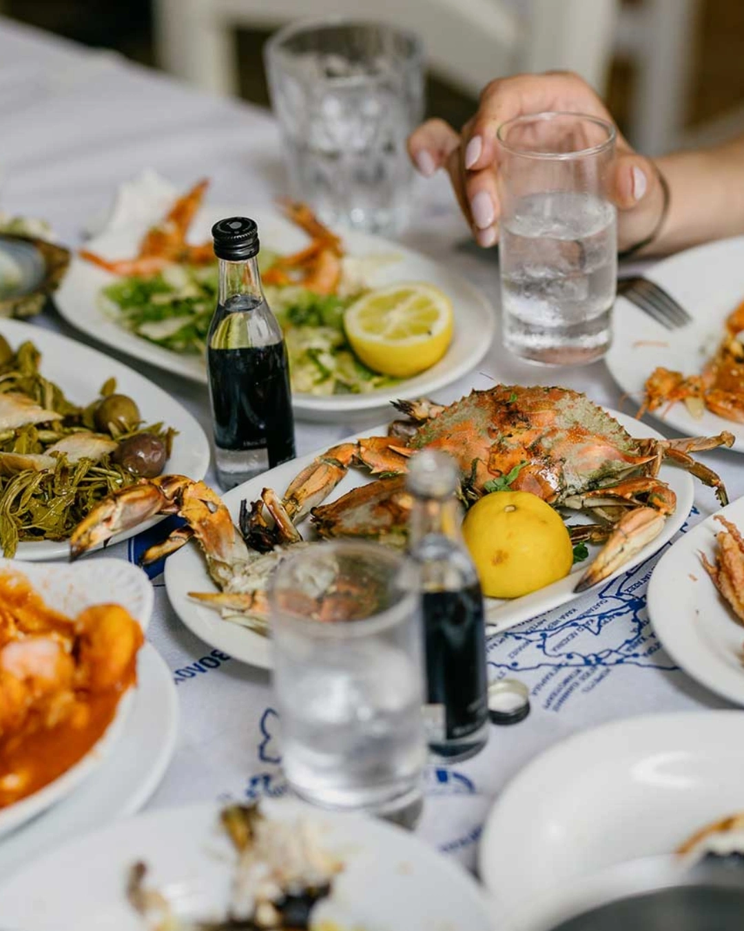 trikala_volos_pou_na_pao_weekend_9 Τσιπουράδικα Βόλος