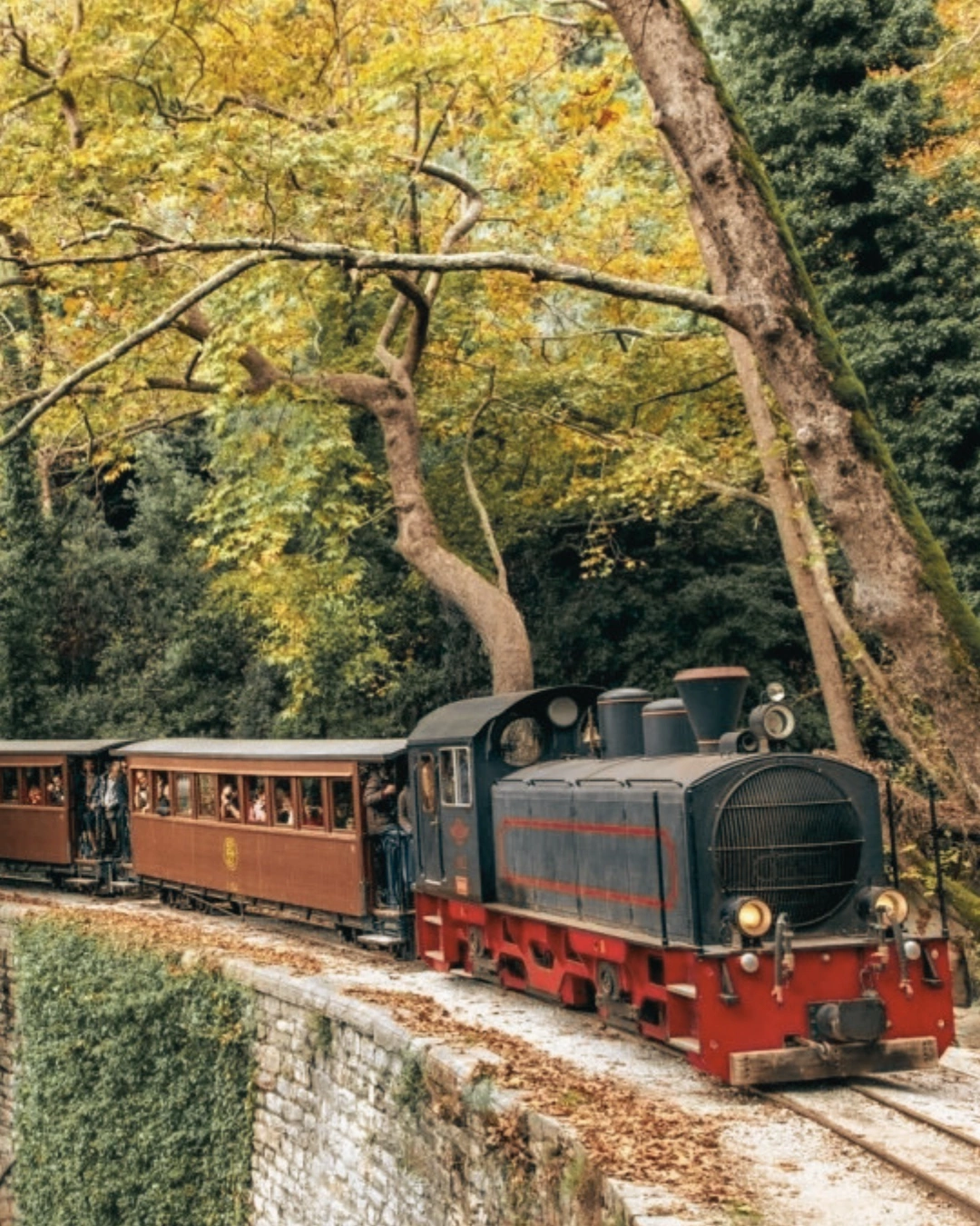 treno_moutzouris_pilio_1 Τρένο Μουτζούρης στο Πήλιο