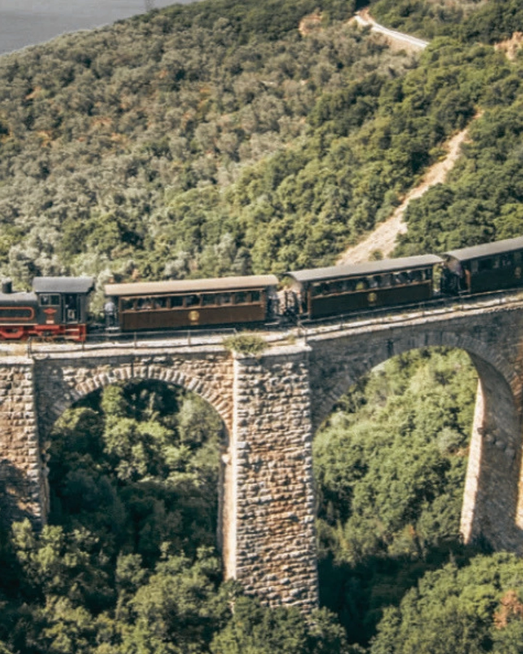 treno_moutzouris_pilio_2 Τρένο Μουτζούρης στο Πήλιο