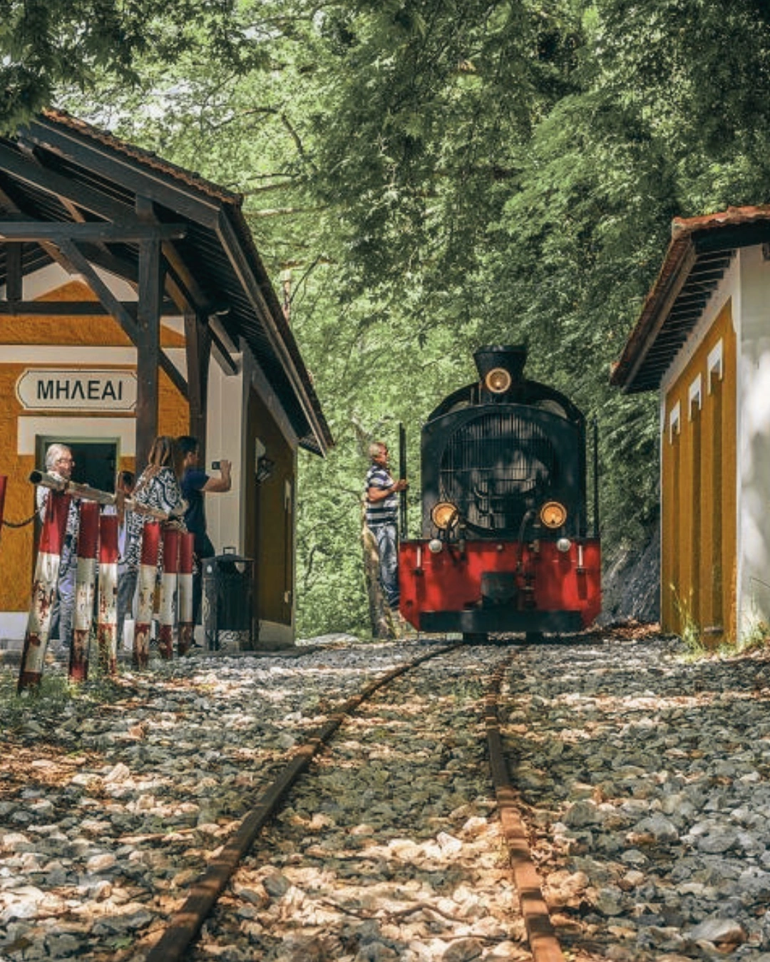 treno_moutzouris_pilio_4 Τρένο Μουτζούρης στο Πήλιο
