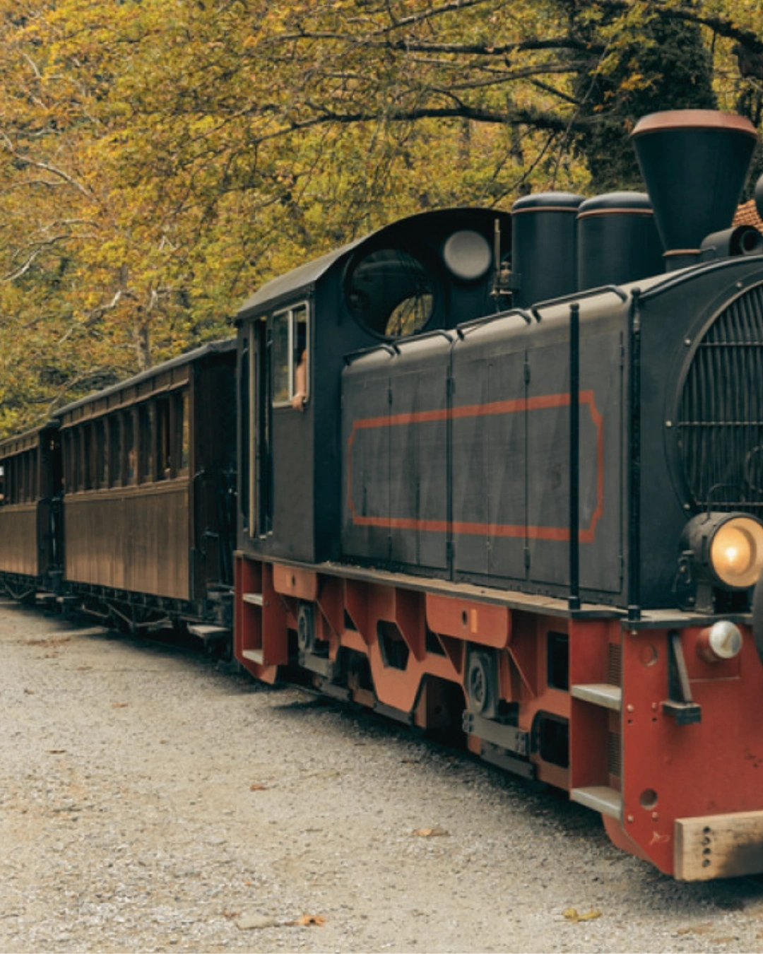 treno_moutzouris_pilio_5 Τρένο Μουτζούρης στο Πήλιο