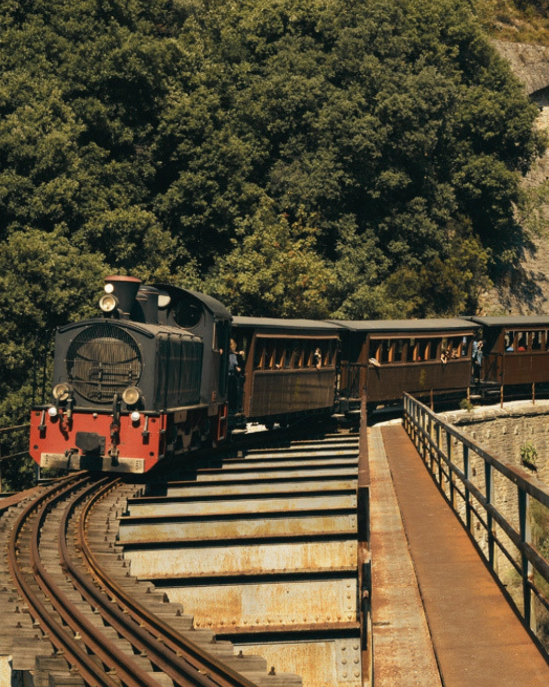 treno_moutzouris_pilio_6 Τρένο Μουτζούρης στο Πήλιο