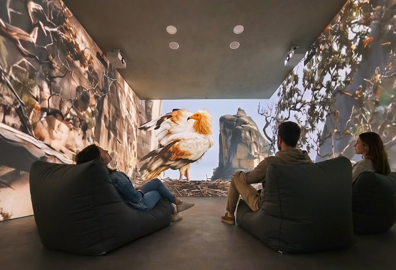 Terra Immersia | 360° Immersive Experience
