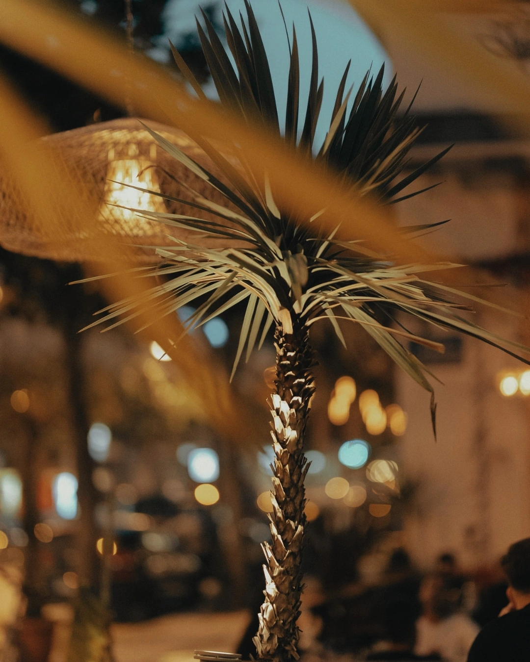 Tankoo Cocktail Bar