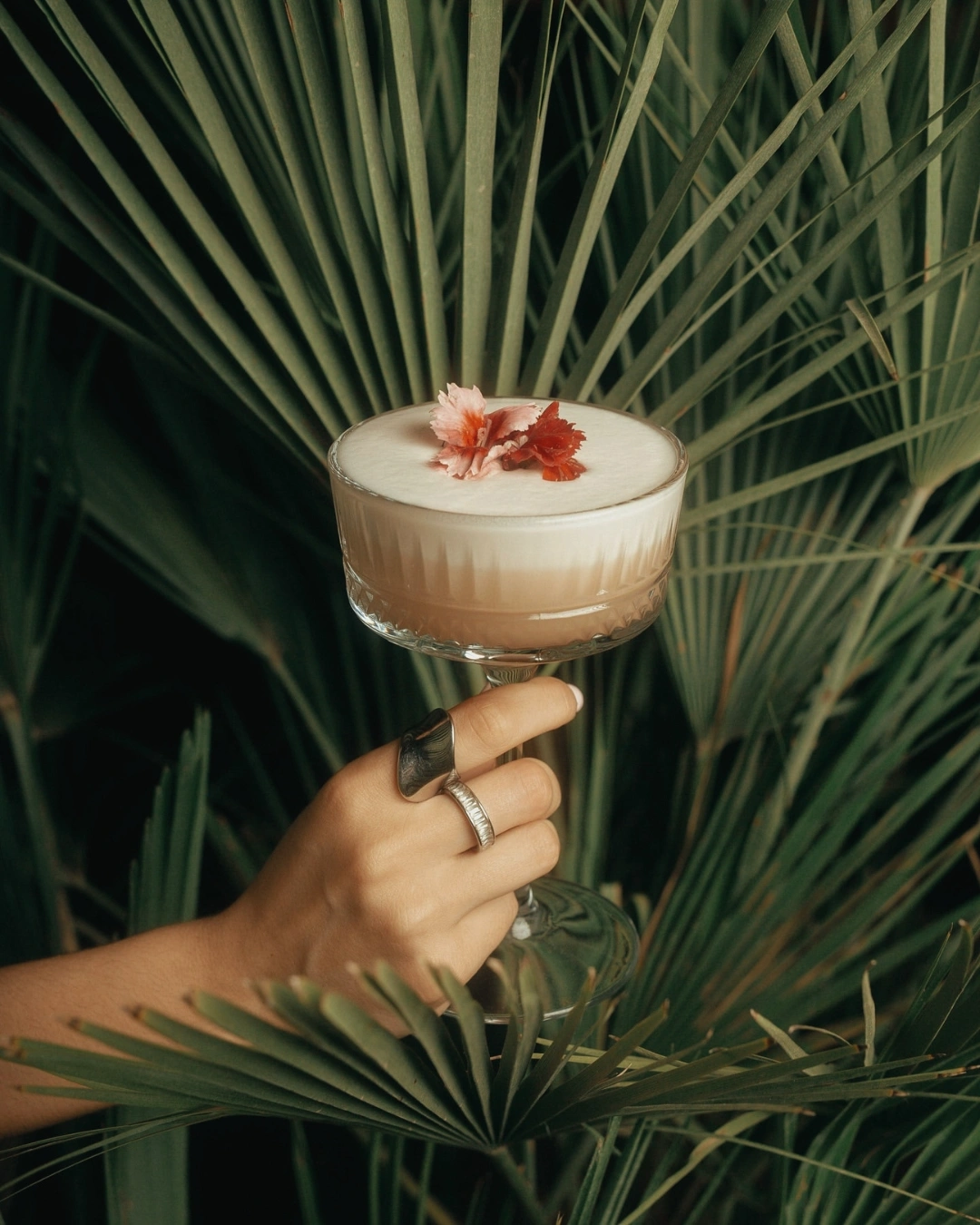 Tankoo Cocktail Bar
